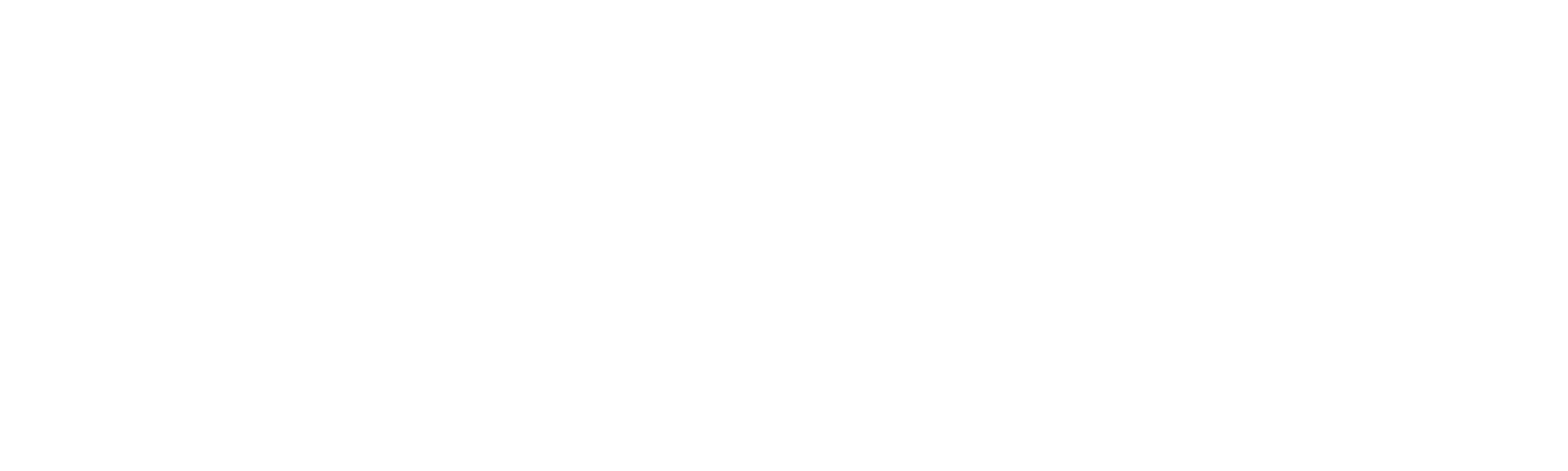 Carlos Vieira Foundation Logo