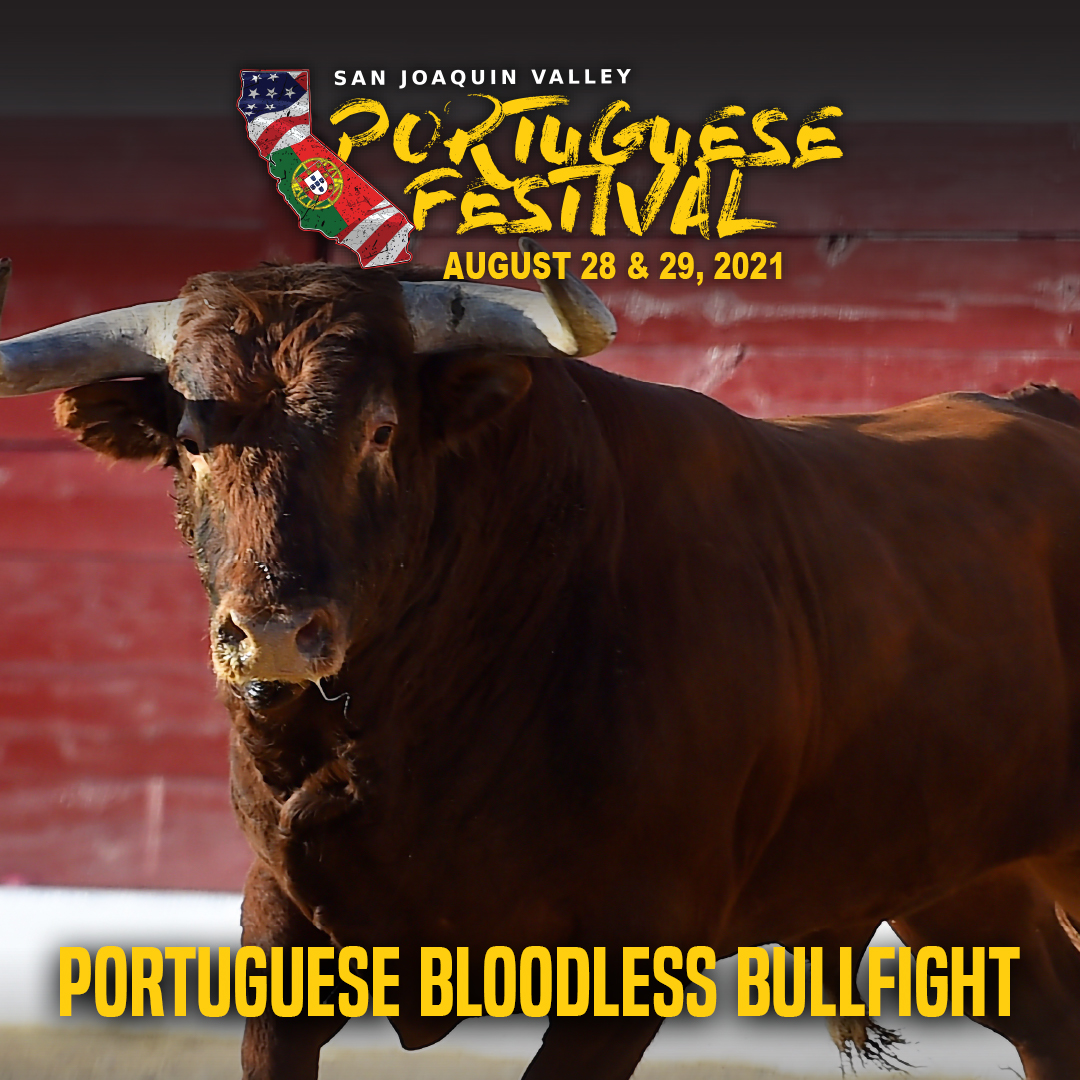 Portuguese Bloodless Bullfight