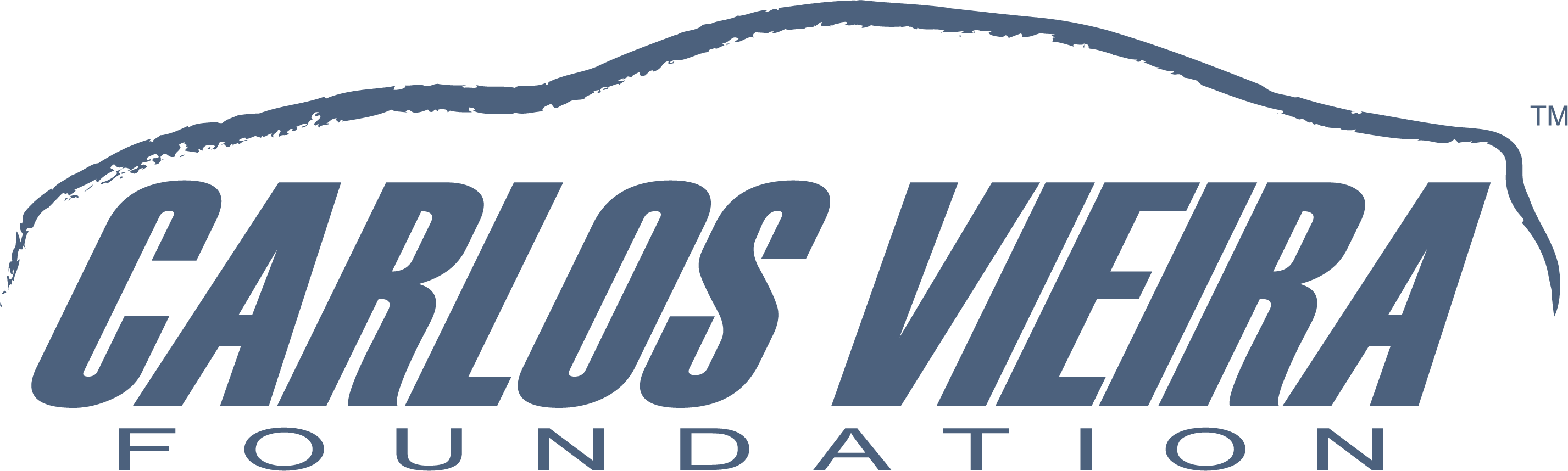 Carlos Vieira Foundation